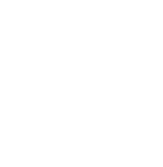Fulcrum Cyber